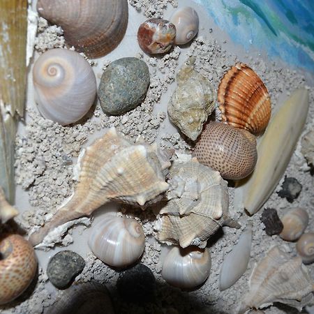 Seashell Art Decor Studio & Parking Vlore Exterior photo