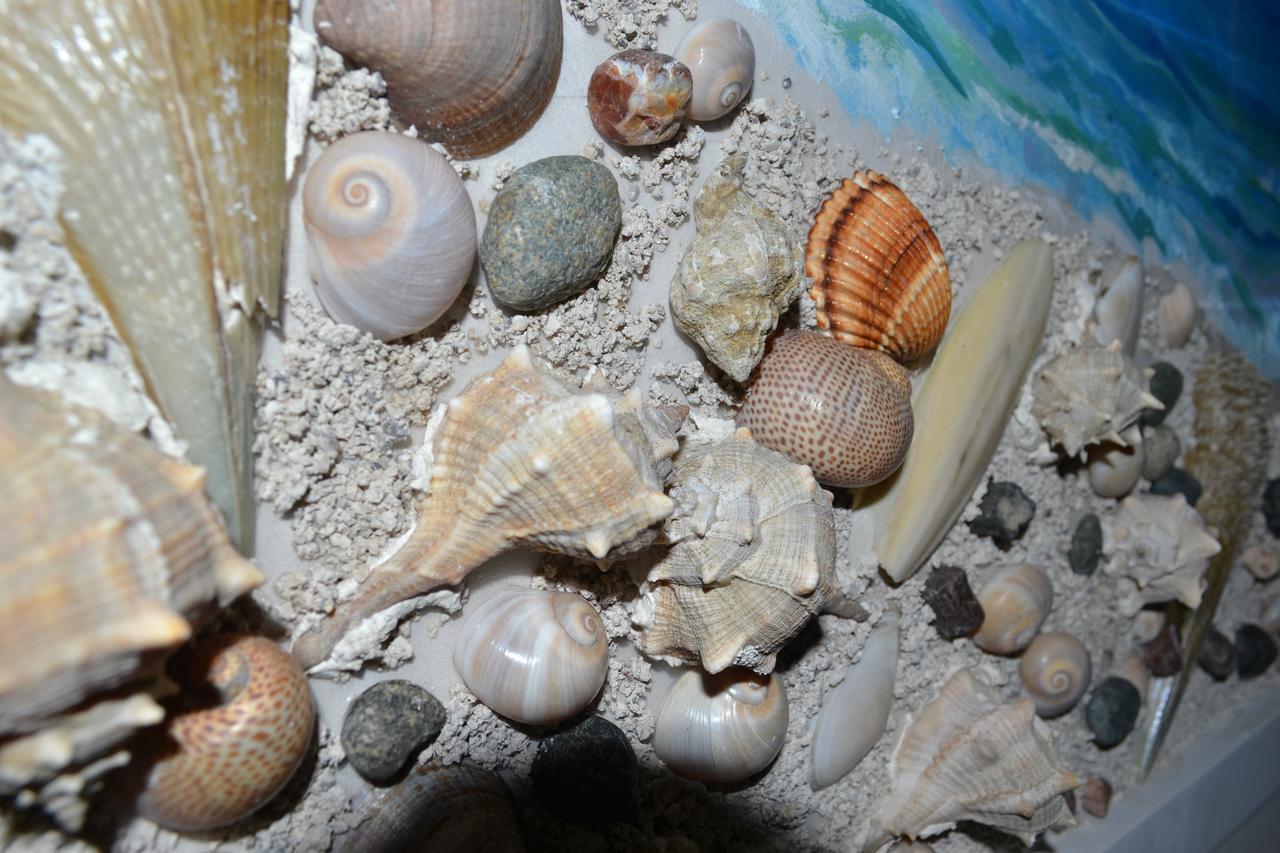 Seashell Art Decor Studio & Parking Vlore Exterior photo